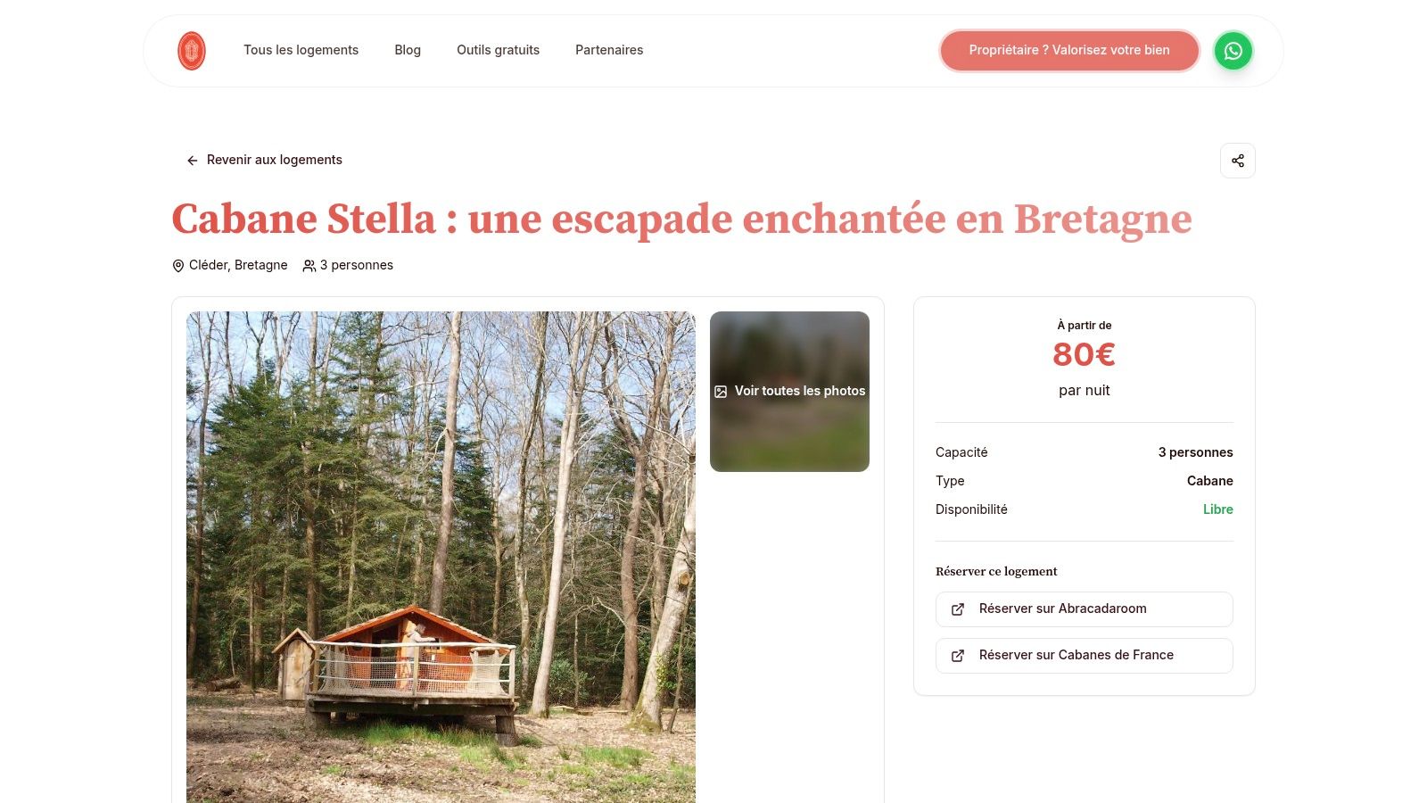 romantic-night-brittany-forest-cabin.jpg