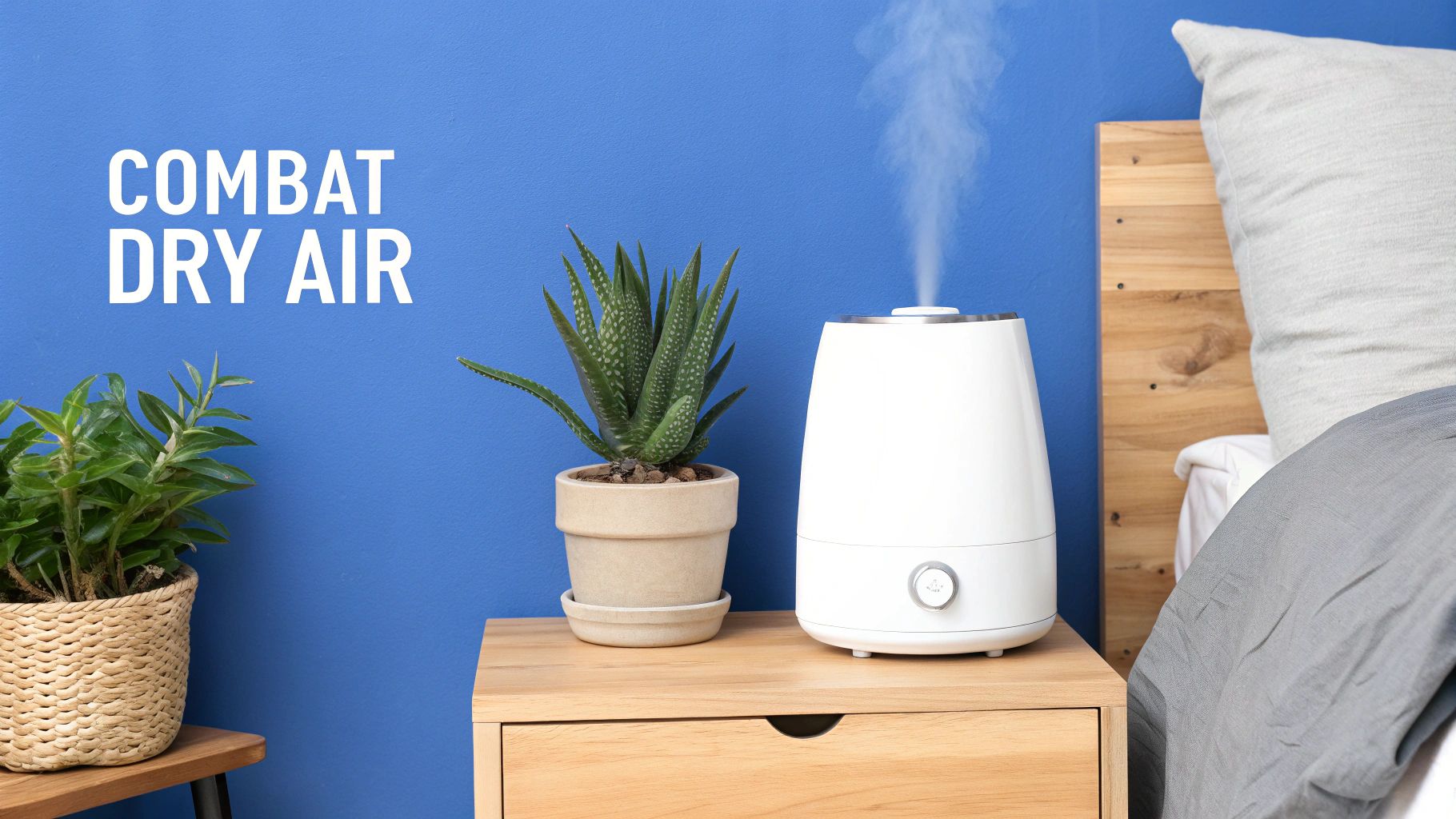 A stylish cool-mist humidifier emitting a gentle plume of vapor in a modern bedroom with houseplants.