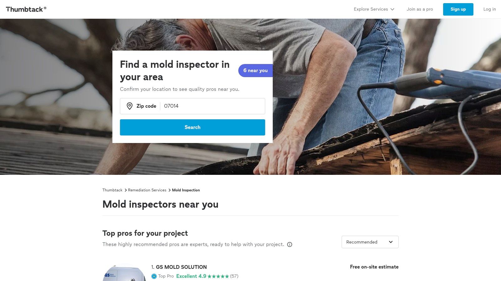 Thumbtack interface showing local mold inspection professionals