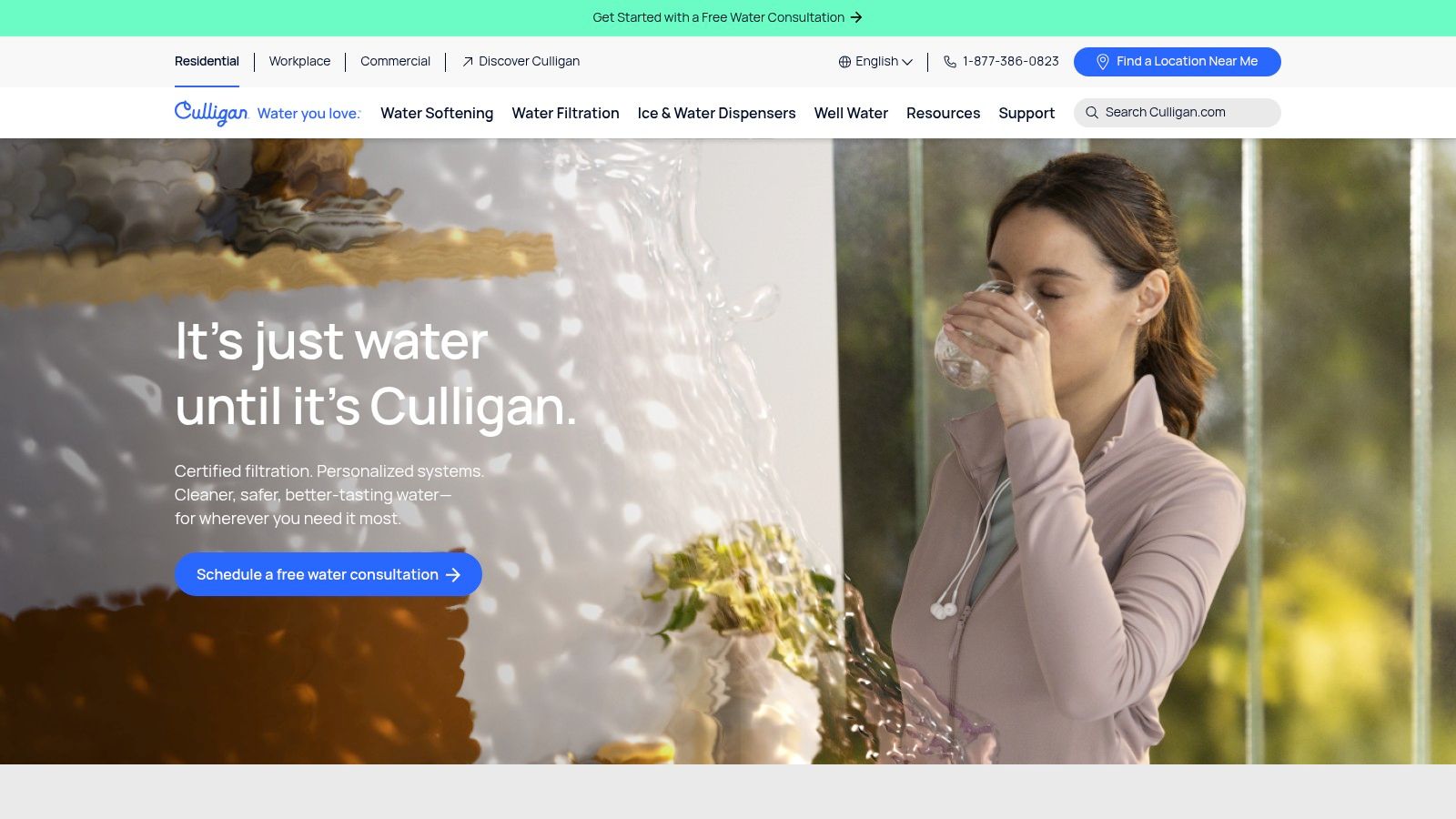 Culligan P5 Whole House Sediment Filter
