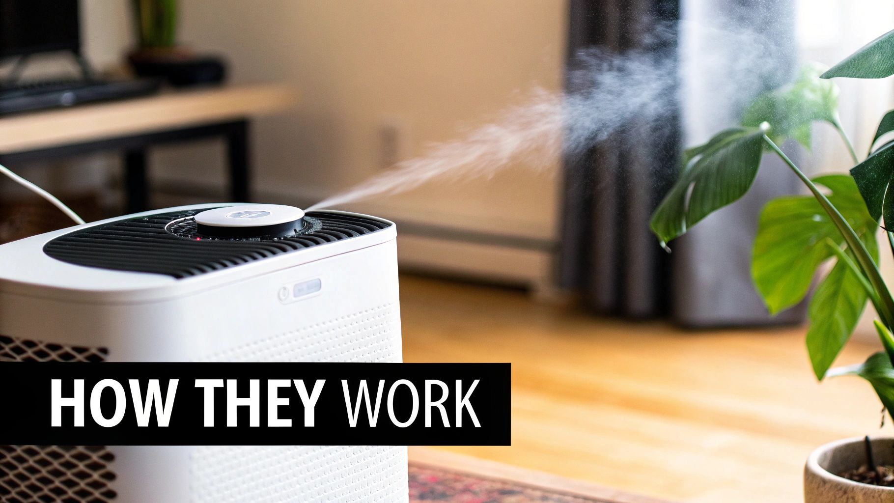 A white humidifier in a cozy room releases a fine mist, with a vibrant green plant beside it.
