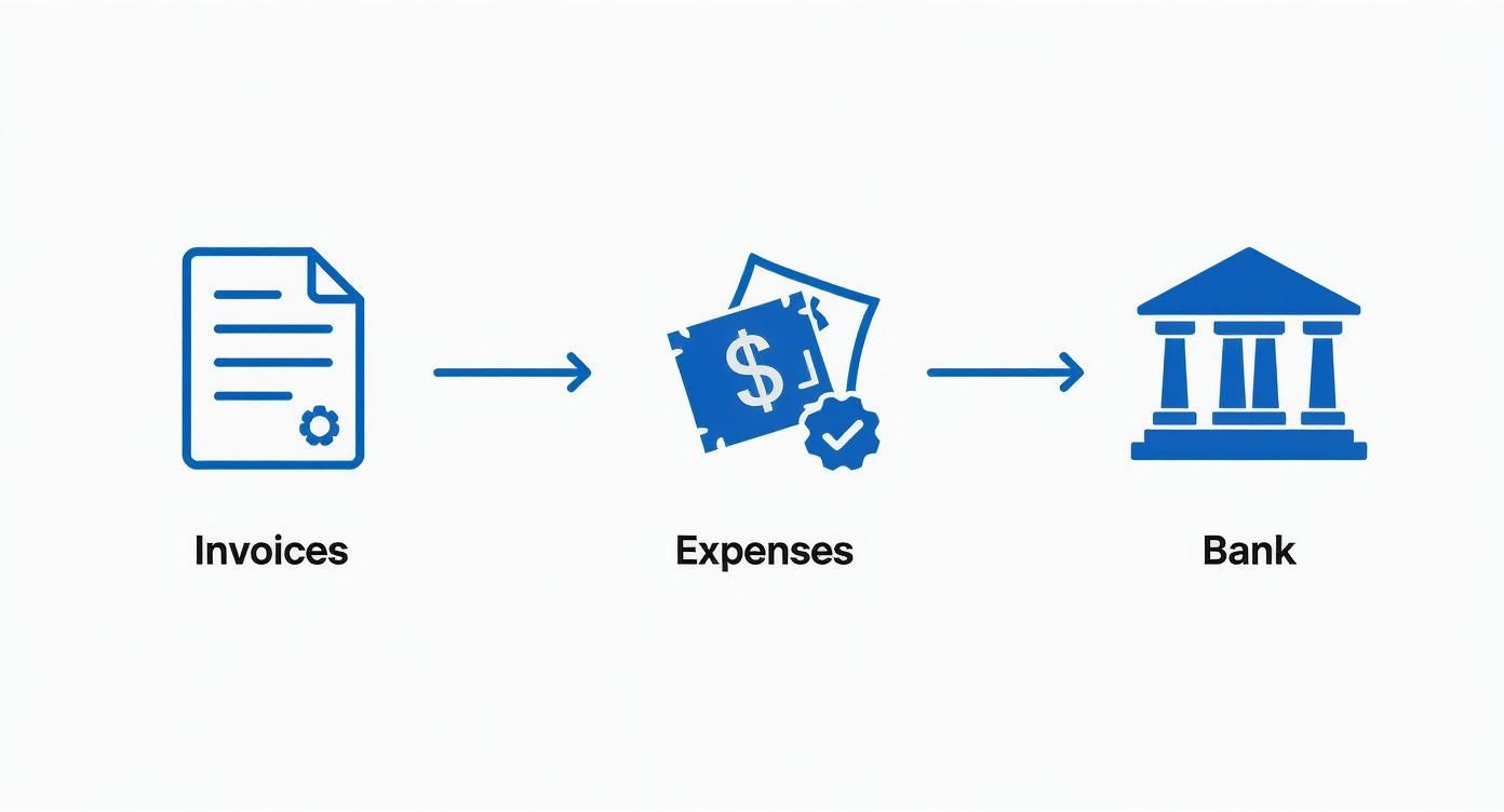 Infographic about how to prepare business activity statement