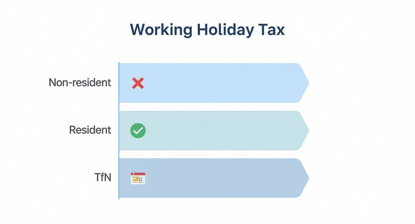 Infographic about working holiday visa tax return