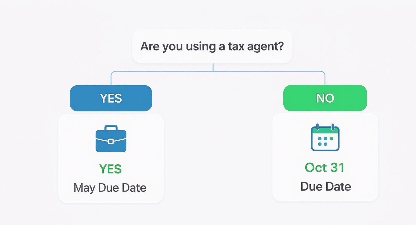 Infographic about tax return due date