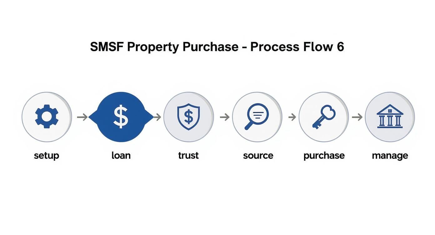 Infographic about smsf and property investment