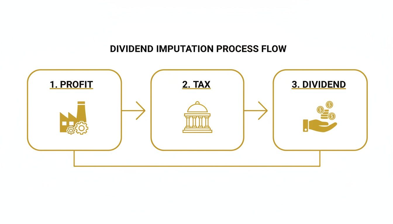Flowchart illustrating the dividend imputation process showing profit, tax, and dividend steps.