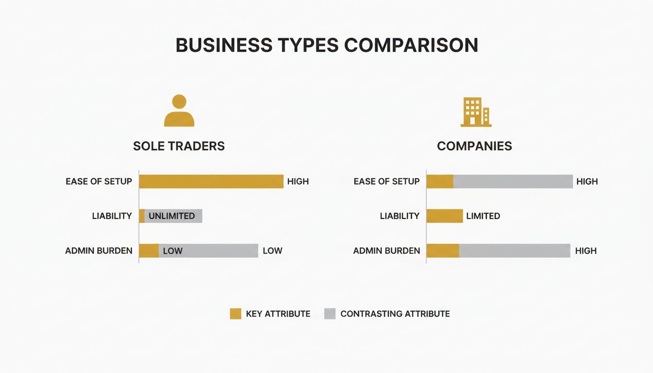 Infographic comparing sole traders and companies across ease of setup, liability, and admin burden.