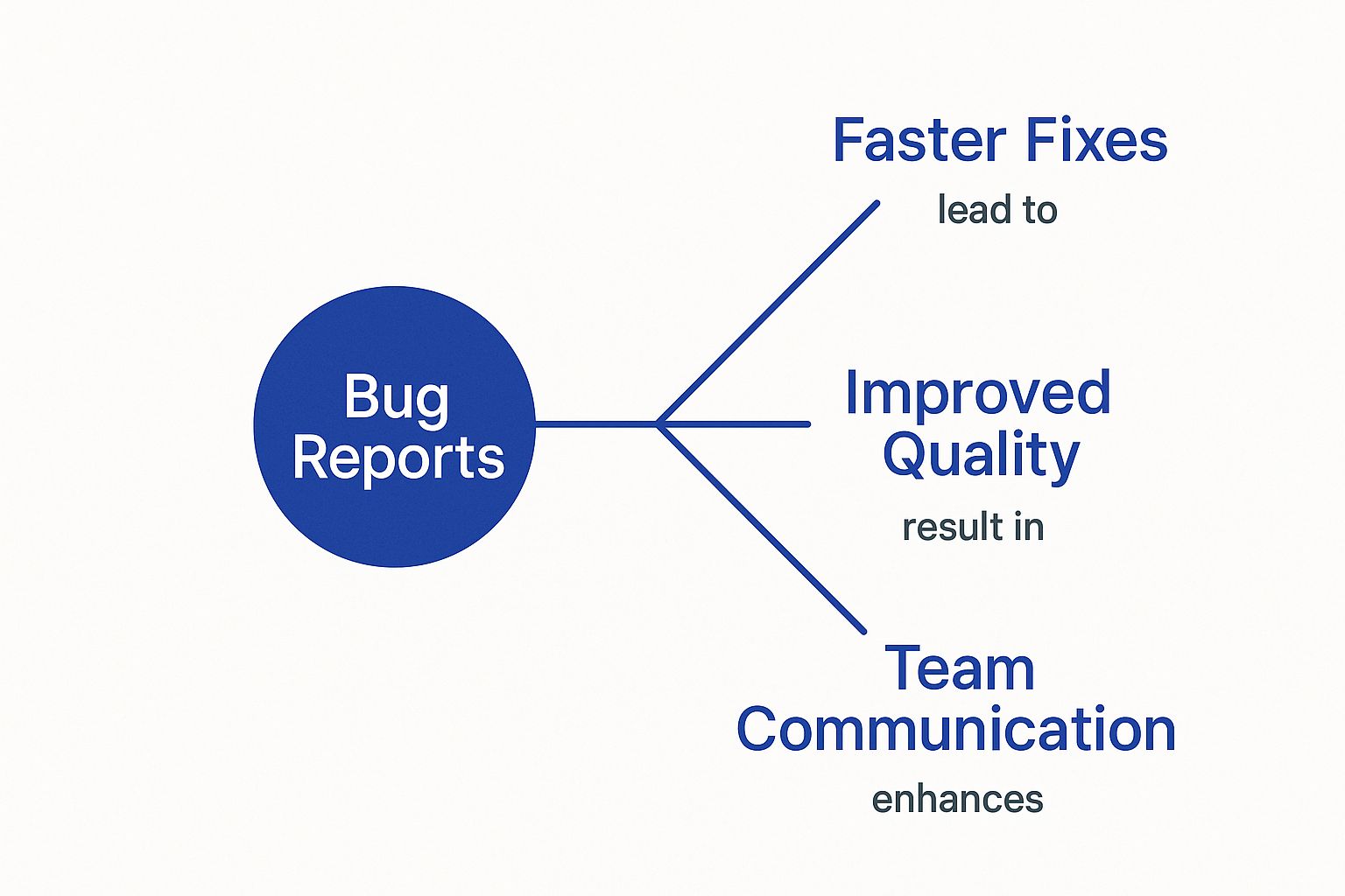 Infographic about what are bug reports