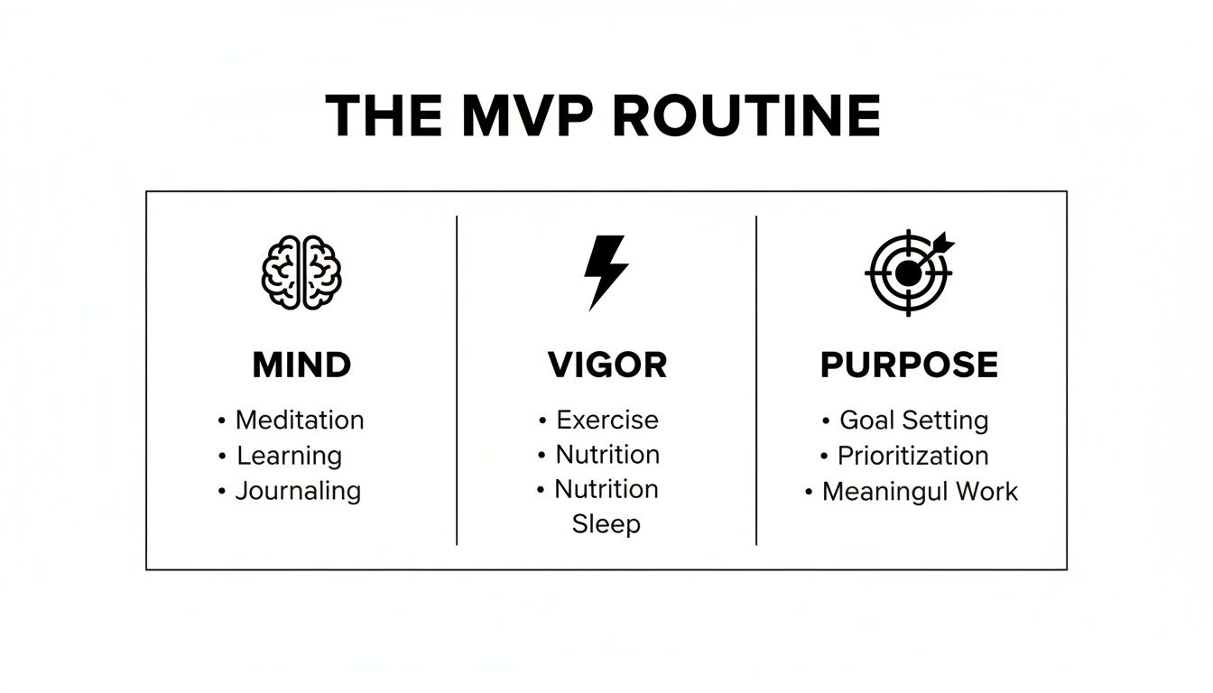 Infographic showing 'The MVP Routine' with categories: Mind (meditation, learning, journaling), Vigor (exercise, nutrition, sleep), and Purpose (goal setting, prioritization, meaningful work).