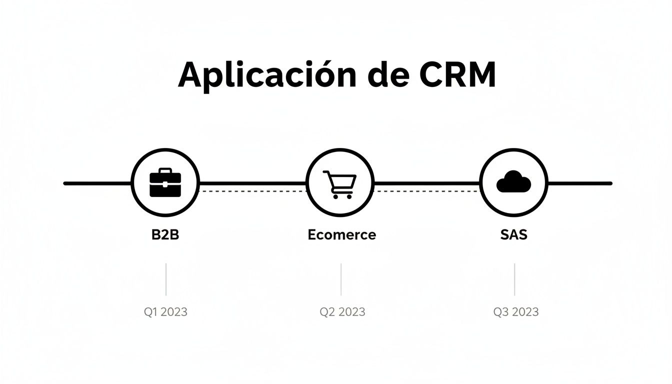 Cronograma de la aplicación CRM mostrando fases B2B, Ecommerce y SAS con sus respectivos trimestres de 2023.
