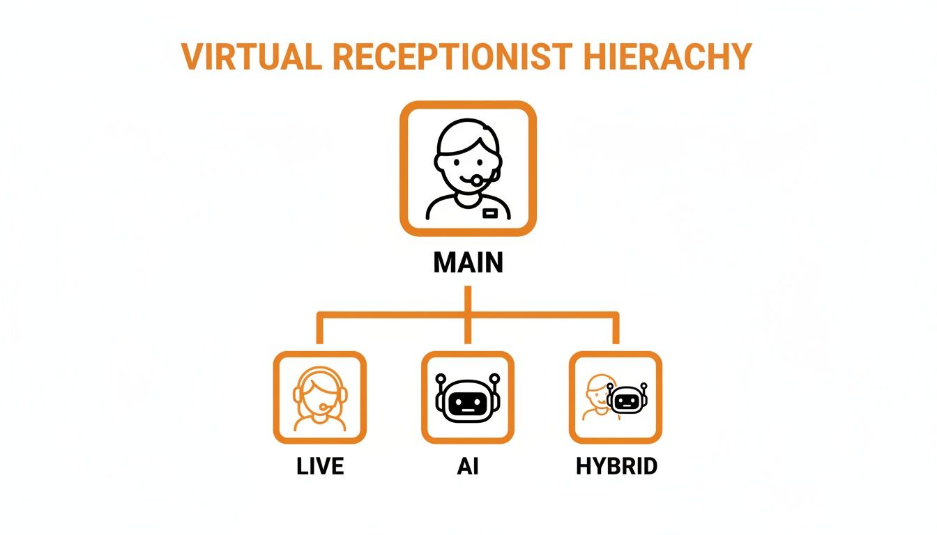 Virtual receptionist hierarchy diagram showing main, live, AI, and hybrid options.