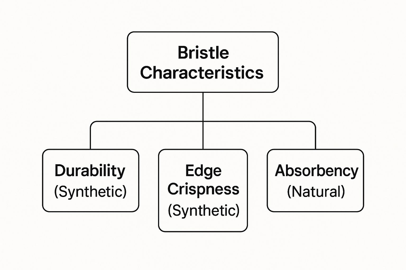 Infographic about brushes for paint by numbers