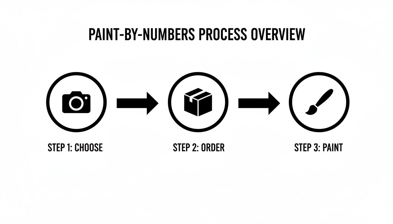 Infographic about paint by numbers from photos