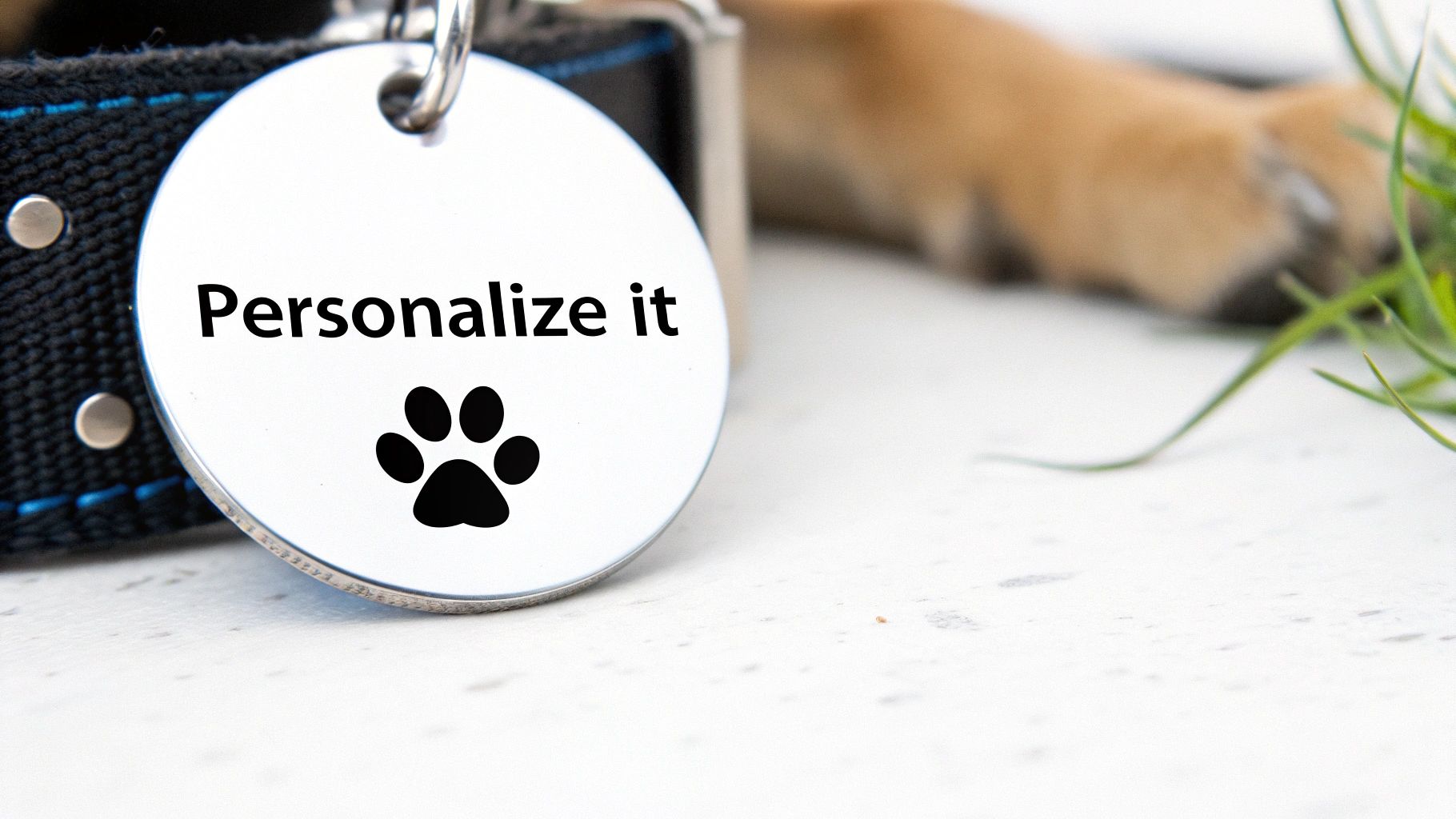 Close-up of an engraved pet necklace showing intricate details