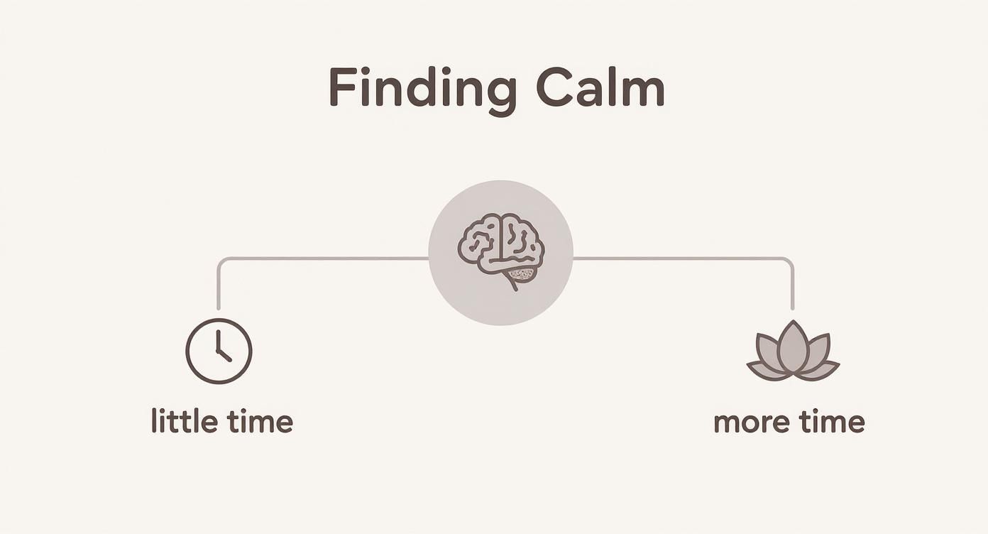 Diagram showing how to find calm, offering options for 'little time' with a clock and 'more time' with a lotus flower.