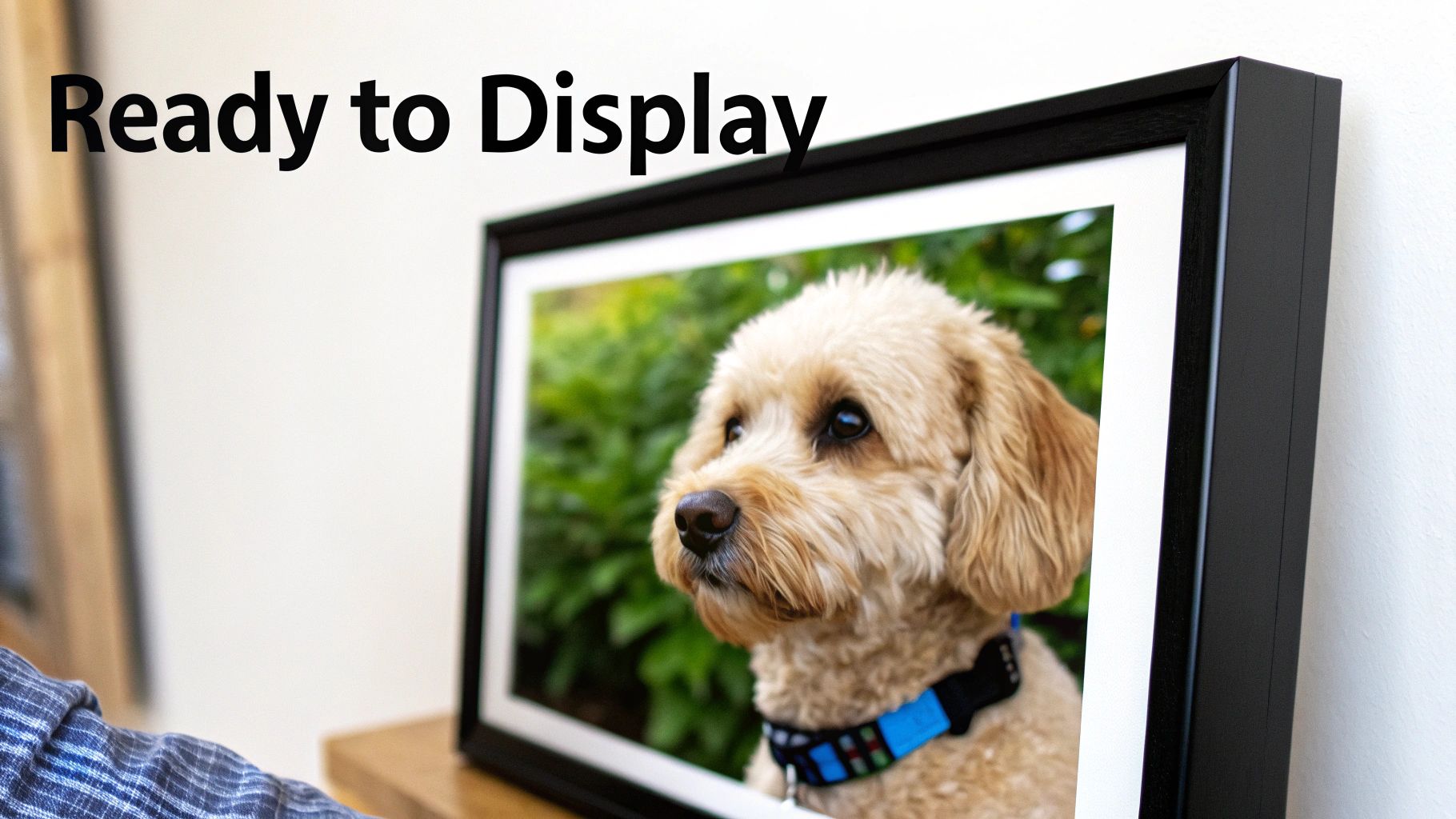A woman holding a finished paint by number portrait of her cat.