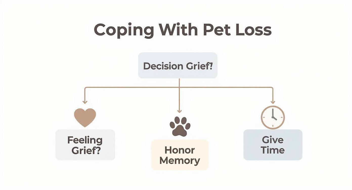 Flowchart diagram showing three approaches to coping with pet loss and grief