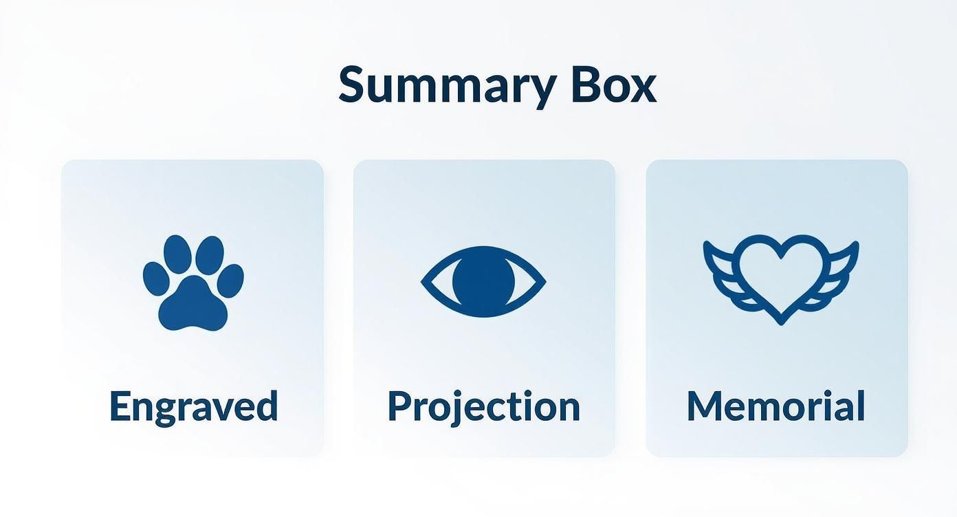 Infographic about personalized pet necklace