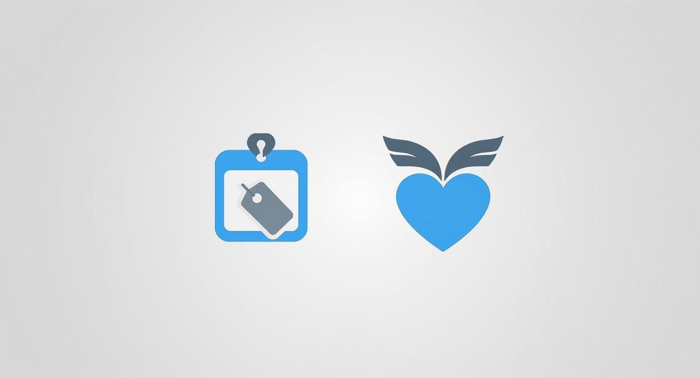 Infographic about pet necklace engraved