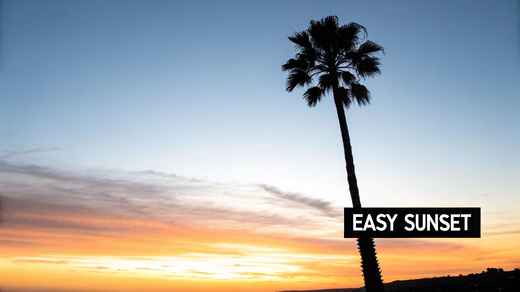 A tall, dark palm tree silhouetted against a vibrant sunset sky with orange, pink, and blue colors.