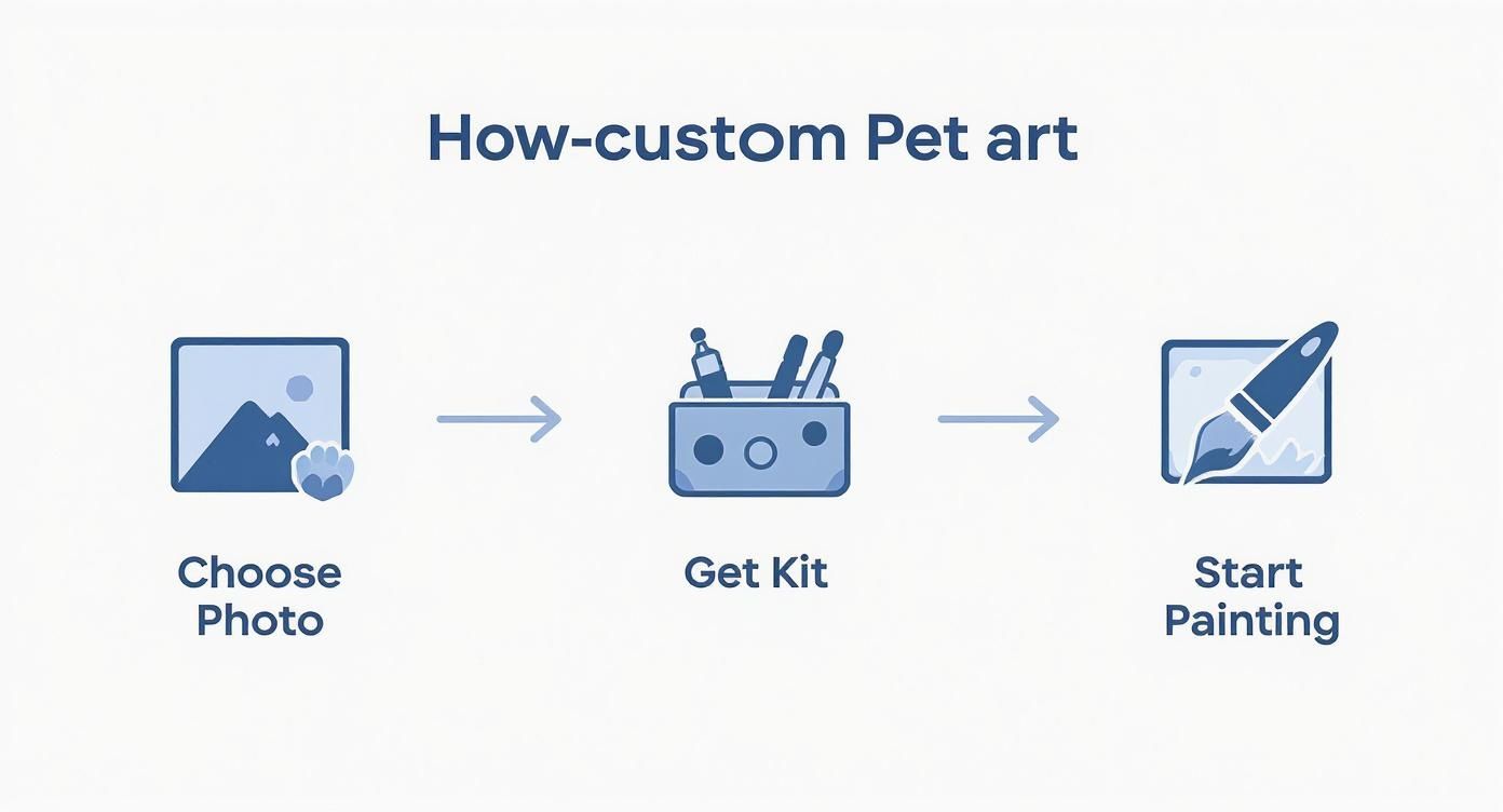 Infographic about paint by number of your pet