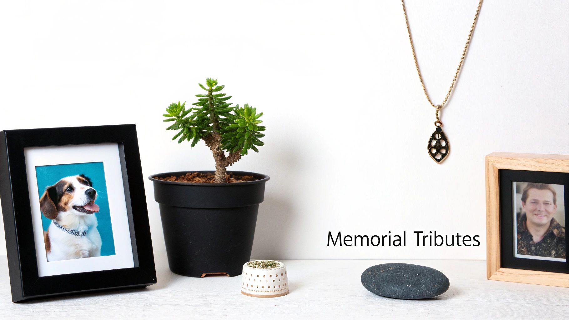 A person holding a personalized pet memorial gift, a framed picture with a paw print and the pet's name.
