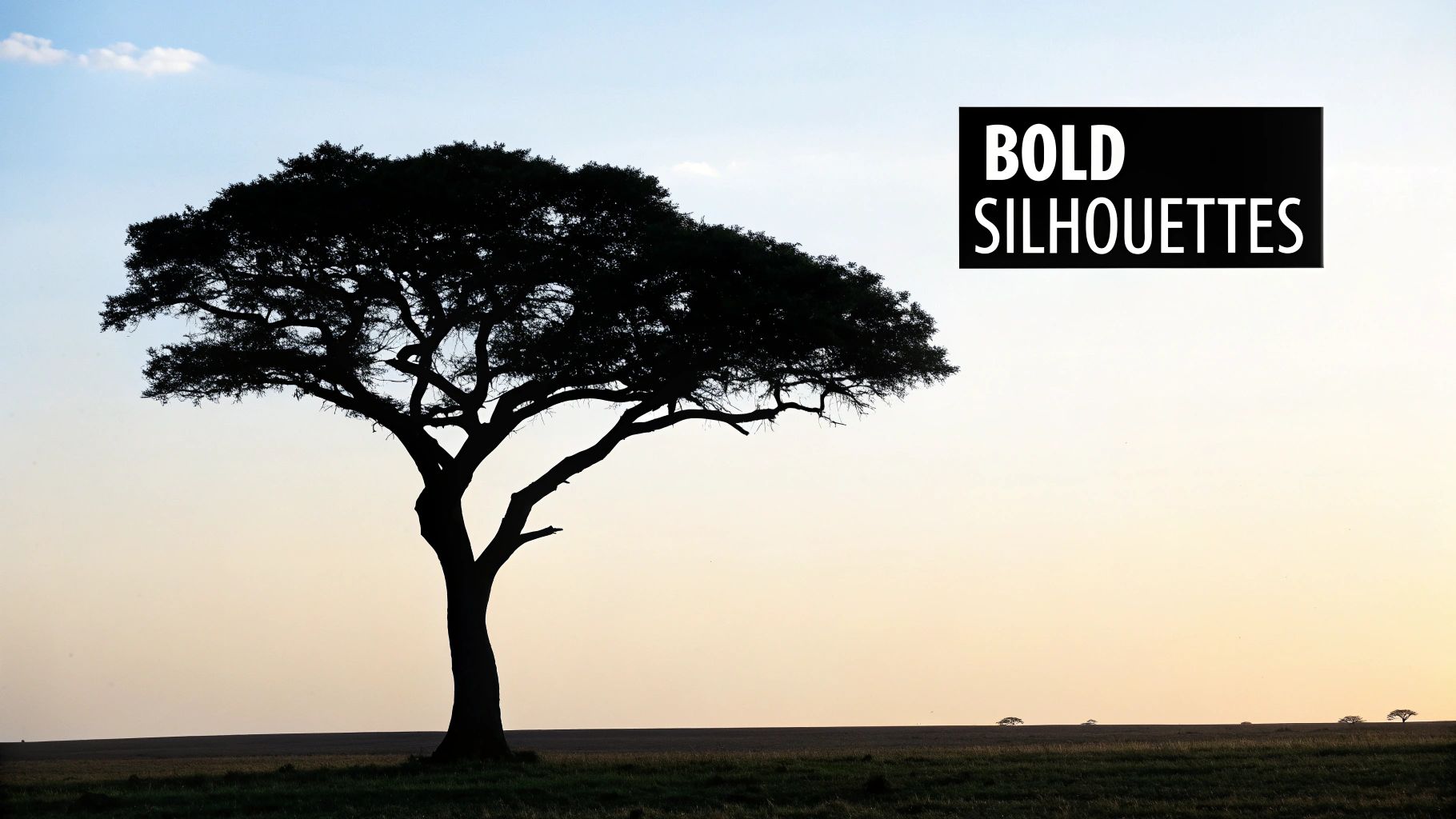 A striking silhouette of a large acacia tree against a warm gradient sky during sunset.