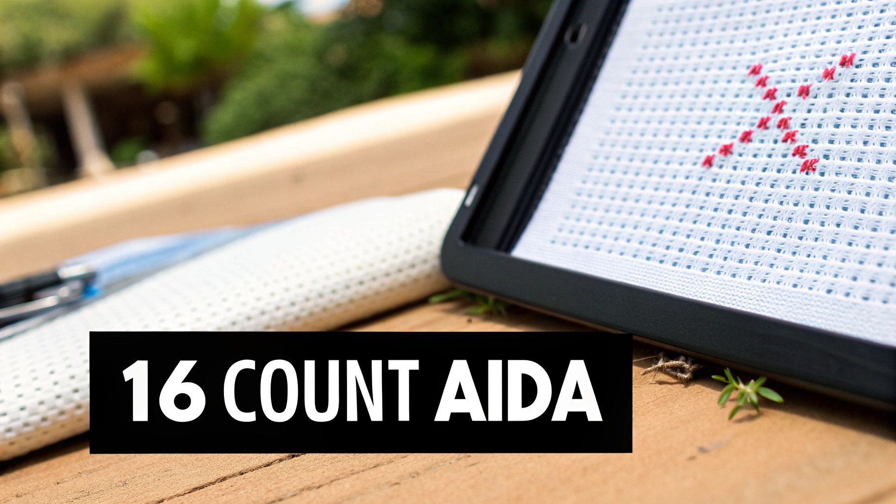 Close-up of white 16-count Aida fabric with red cross-stitches in a pattern, held in a black frame.