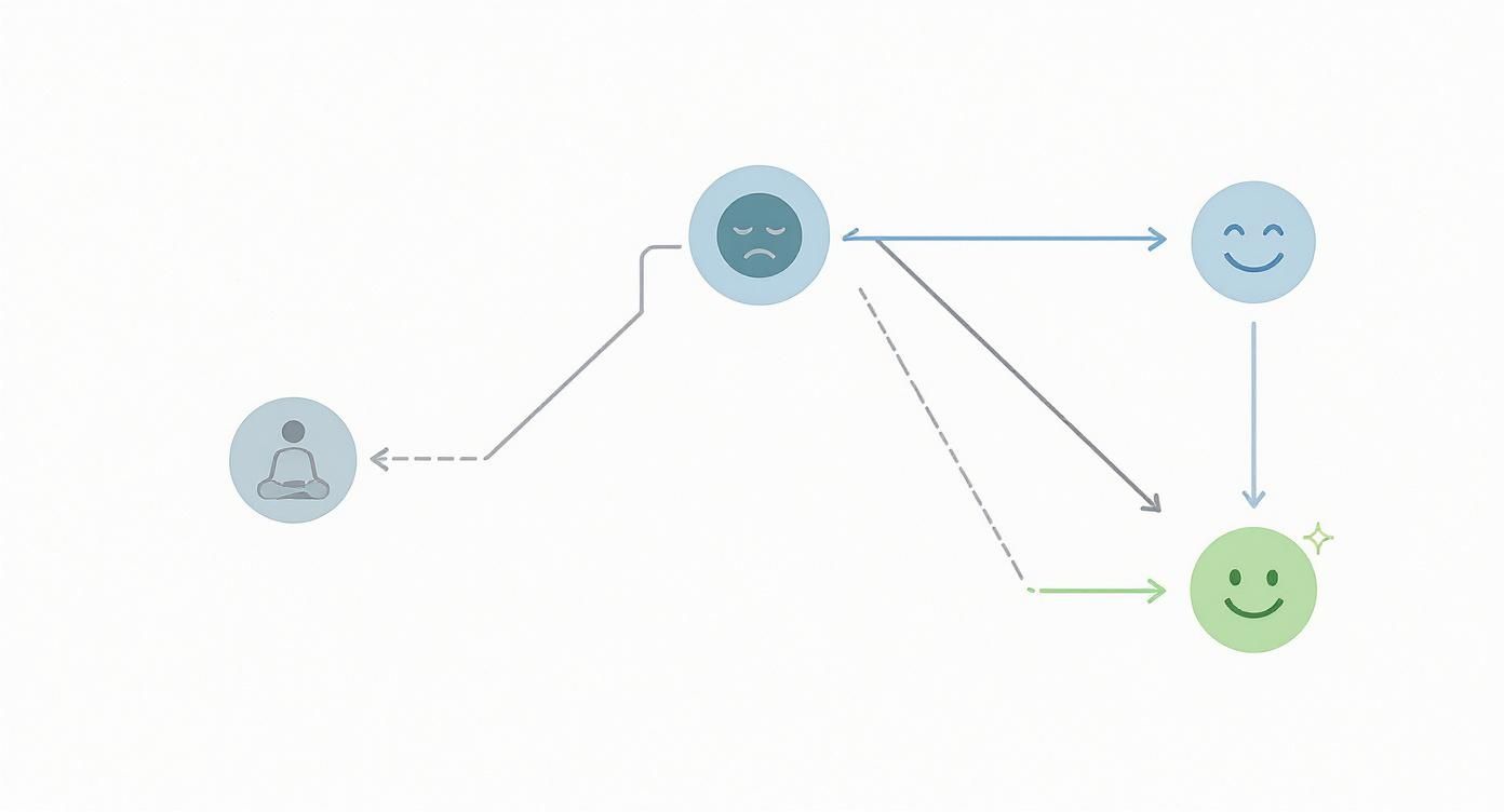 Diagram showing emotional states: a meditating person, sad face, happy face, and sparkling happy face, with transition arrows.