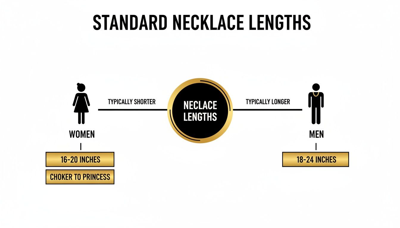 Infographic showing standard necklace lengths: women's (16-20 inches) are typically shorter than men's (18-24 inches).