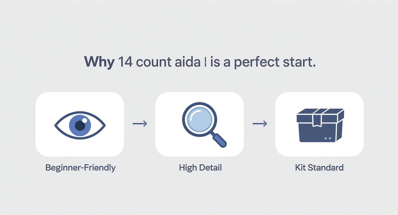Infographic about 14 count aida