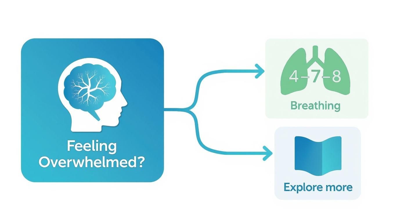 Infographic about how to quiet your mind
