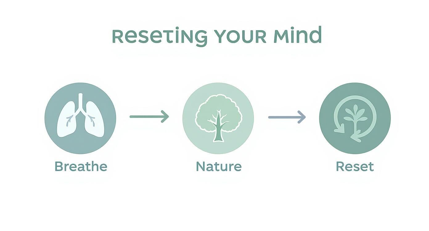 Infographic about how to reduce cortisol levels naturally