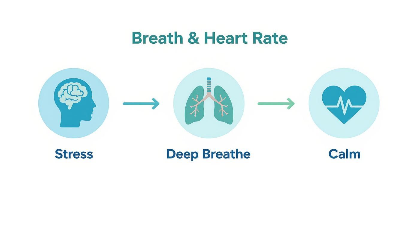 Infographic about breathing exercises to lower heart rate