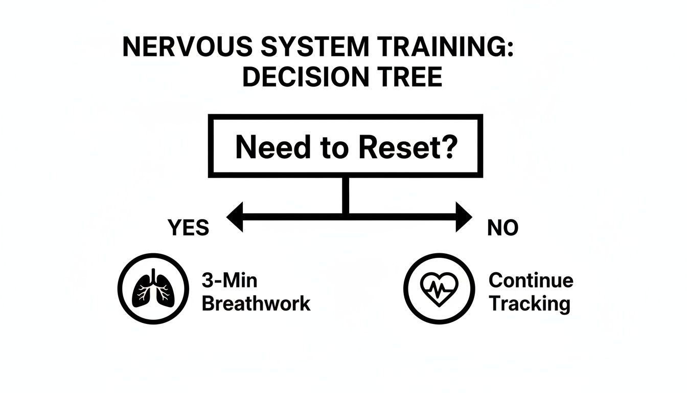 A nervous system training decision tree asks 'Need to Reset?'. Yes leads to 3-min breathwork, no to continued tracking.