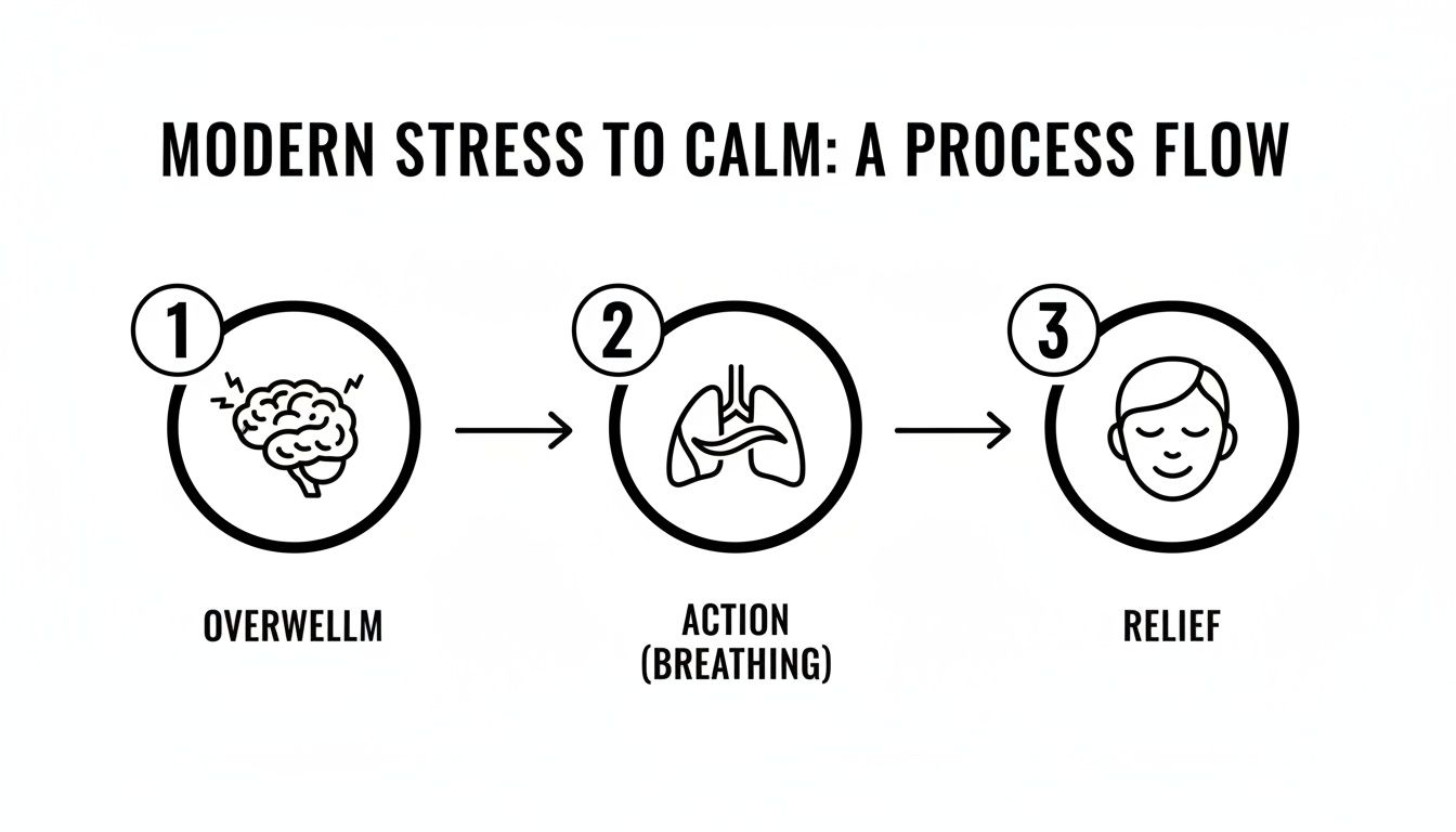 A process flow diagram illustrating three steps from modern stress to calm through breathing.