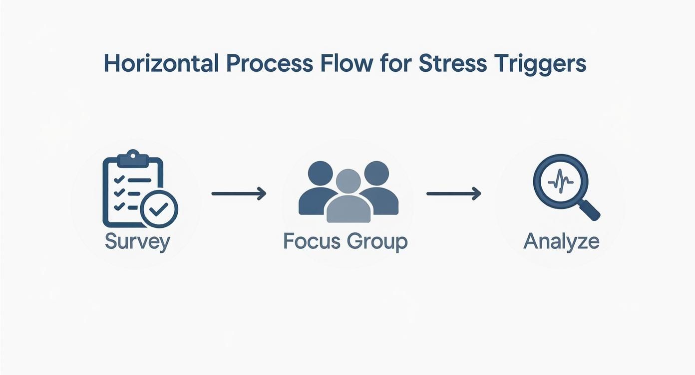 Infographic showing the process of surveying, holding focus groups, and analyzing data to understand employee stress triggers