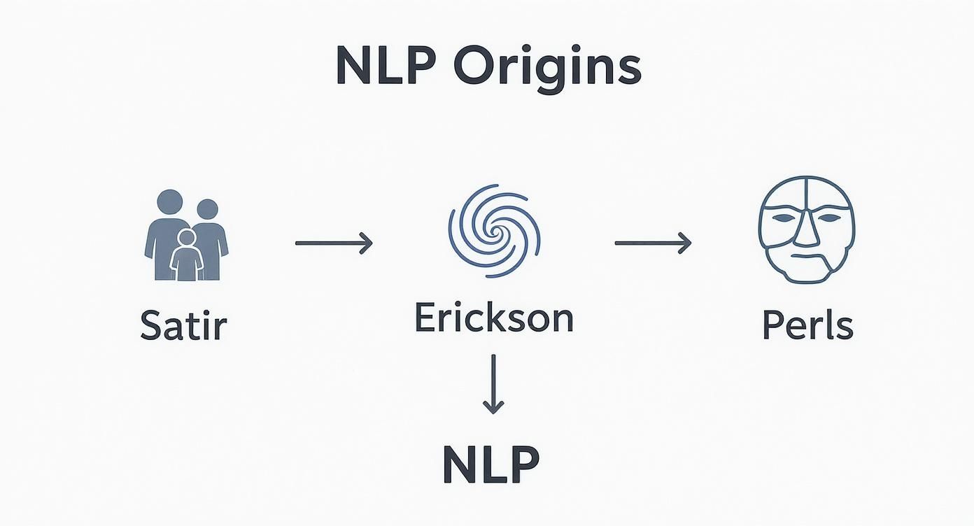 Infographic about what is neuro linguistic programming