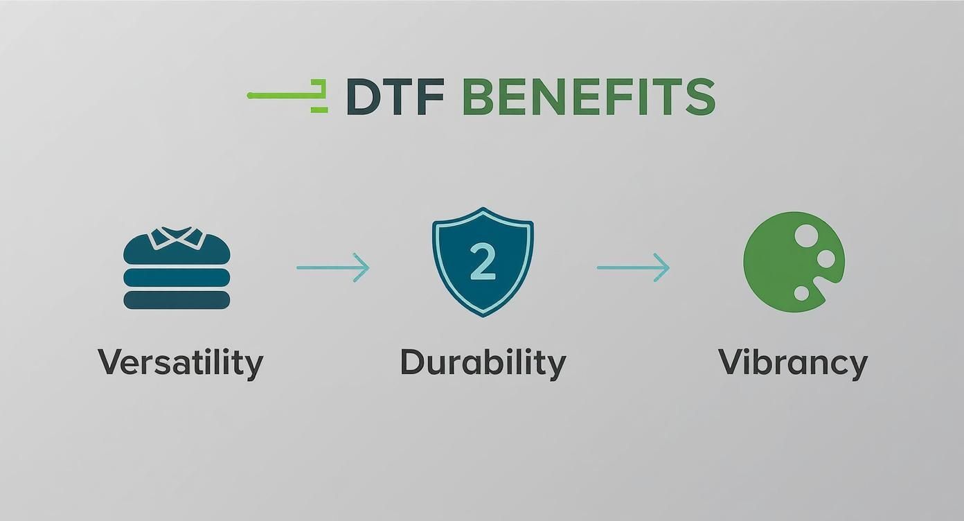 Infographic about dtf transfers for sale