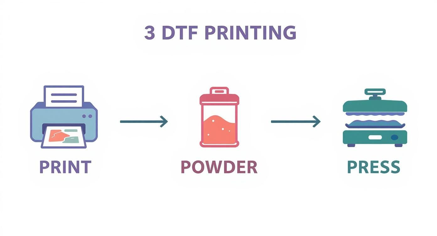 Infographic about dtf transfer