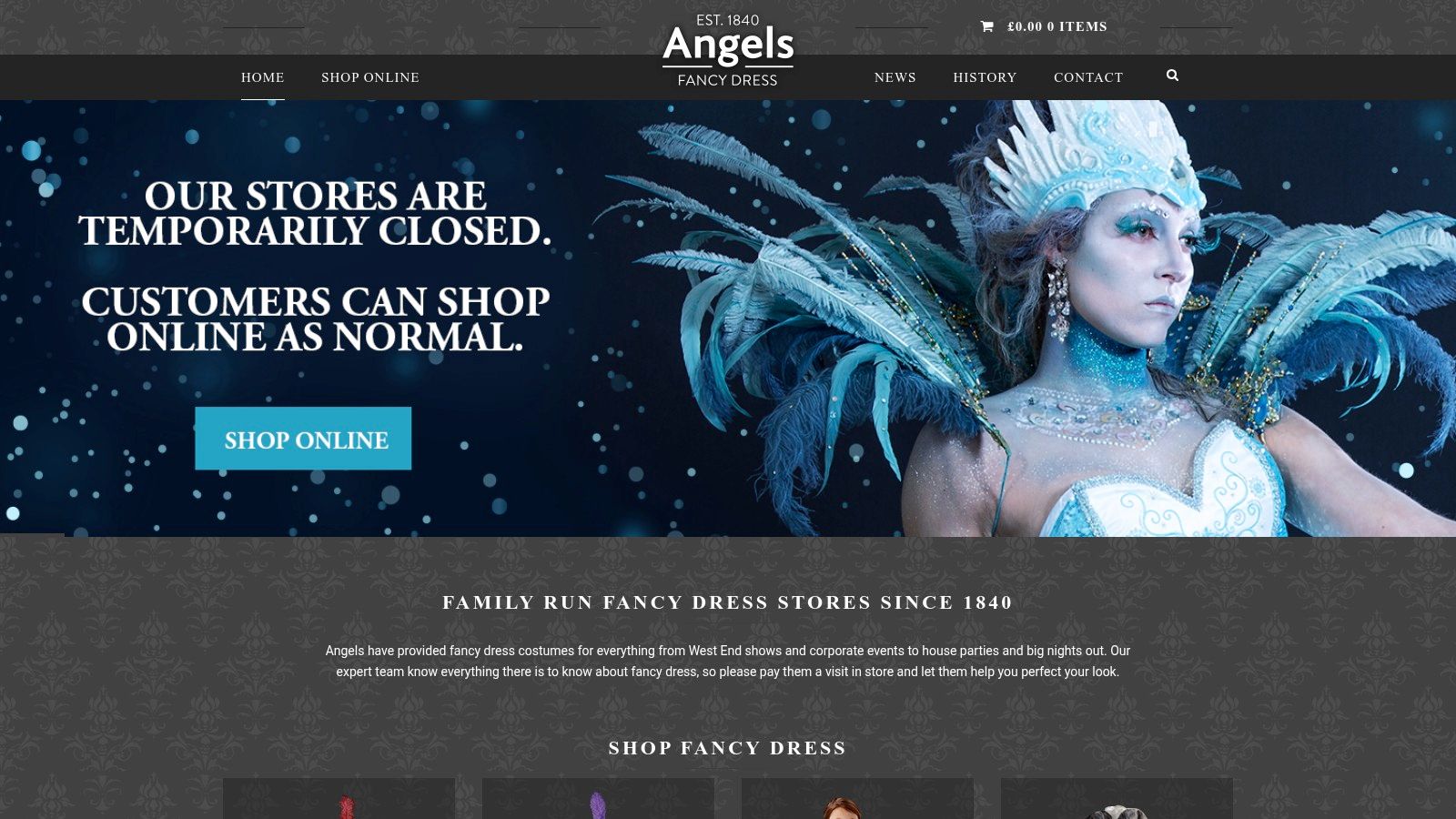 Angels Fancy Dress