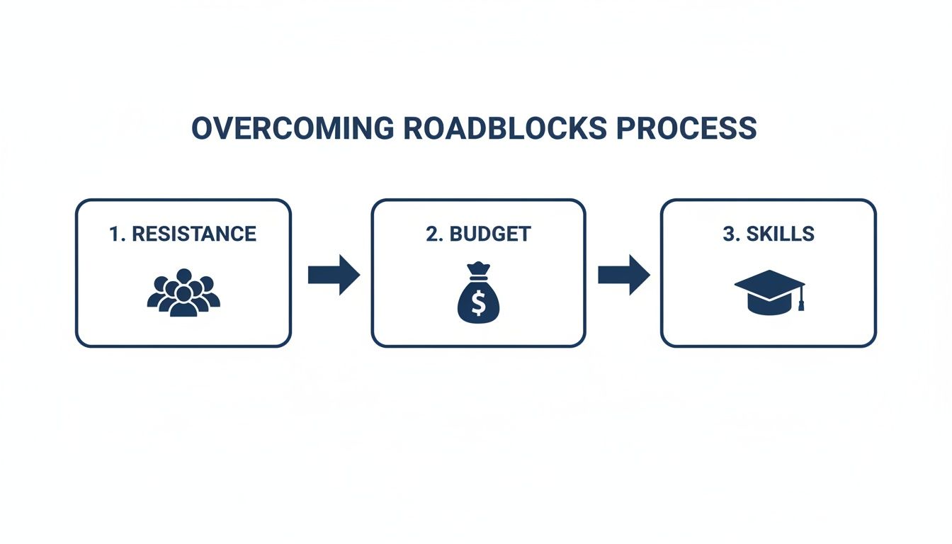 Flowchart illustrating the three-step process for overcoming roadblocks: resistance, budget, and skills.