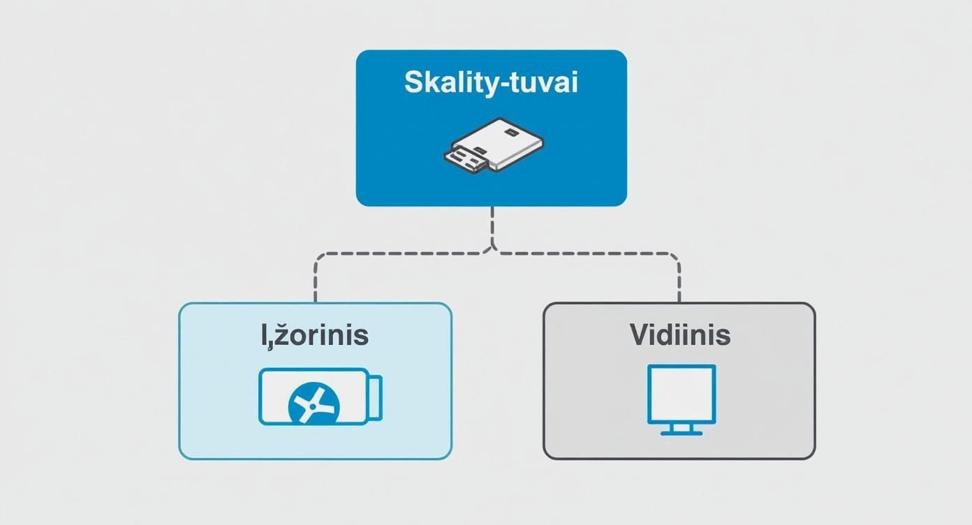 Infographic about sd korteliu skaitytuvas