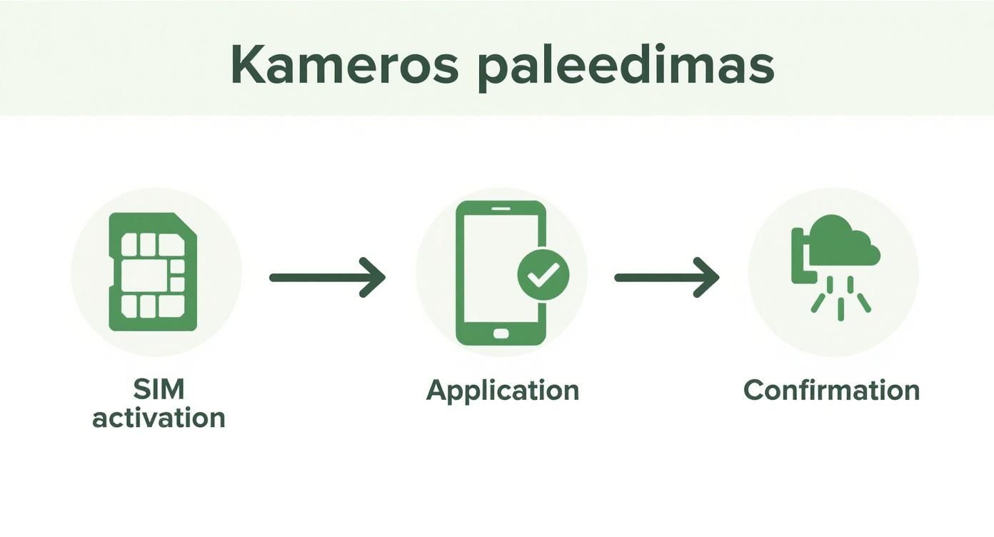 Infographic about kameros su sim kortele