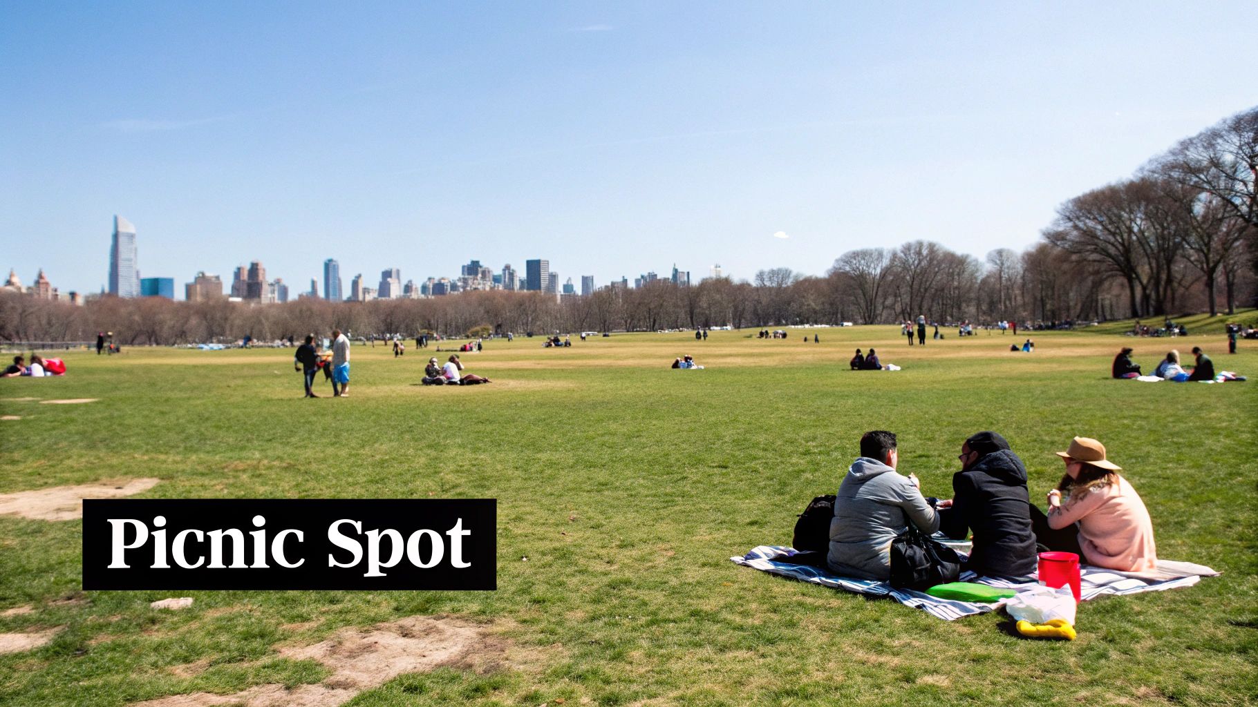 People enjoy a sunny day picnicking on a large green field with a city skyline in the background.
