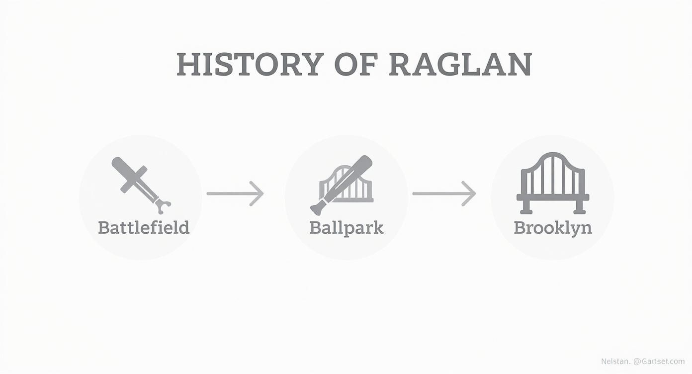 Infographic about raglan sleeve t-shirt