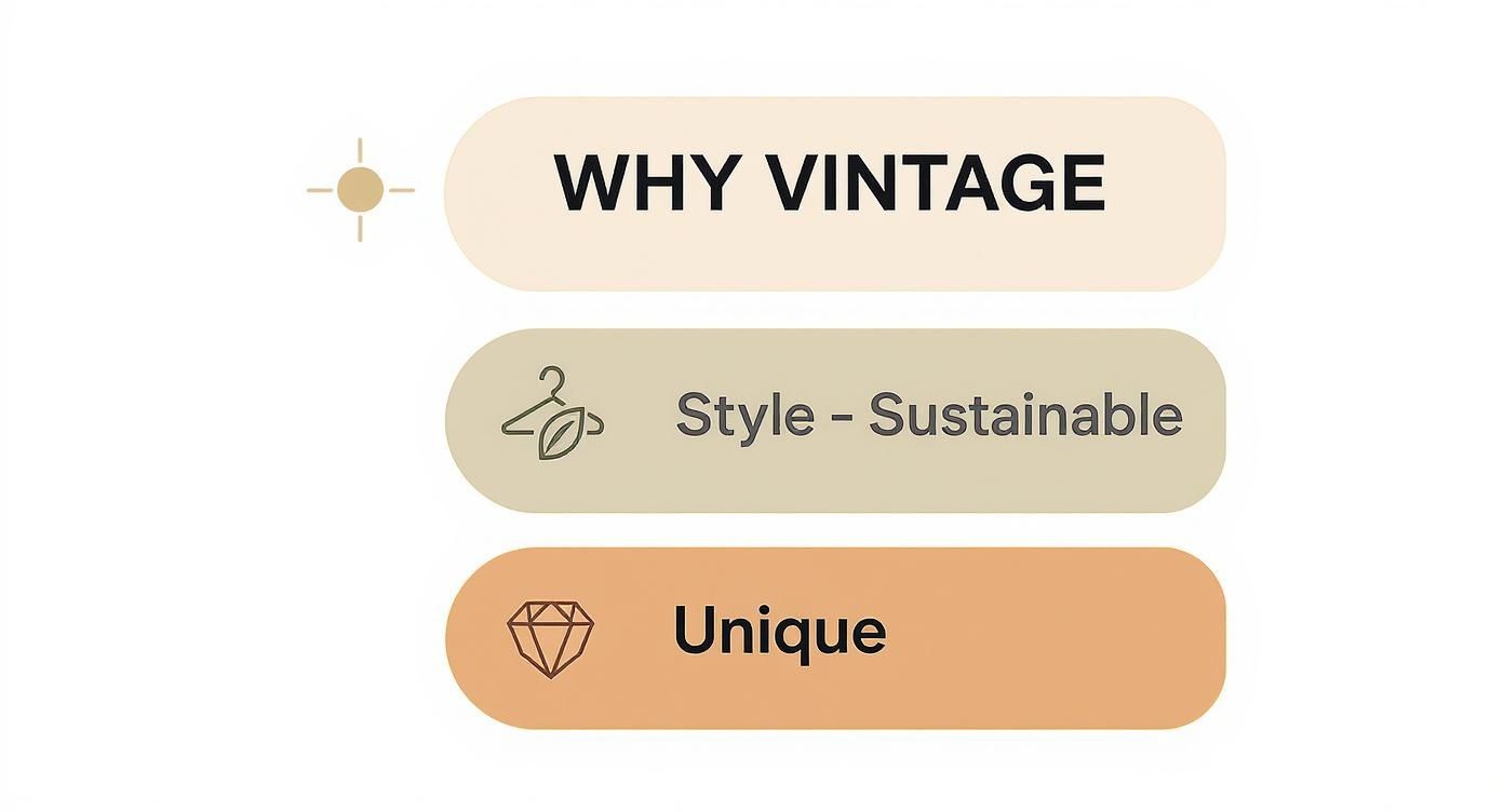 Infographic about where to find vintage clothing