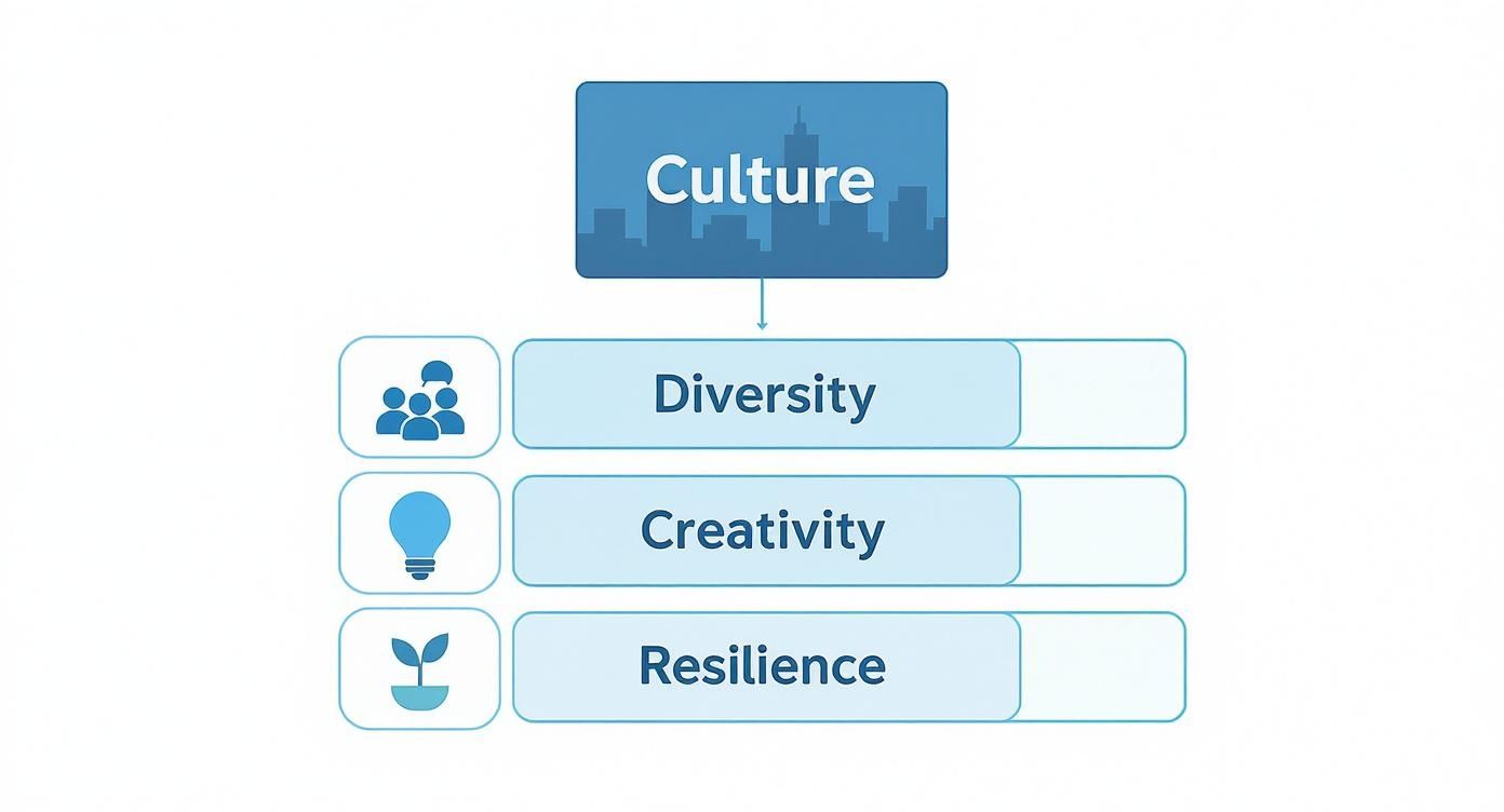 Infographic about what is urban culture definition