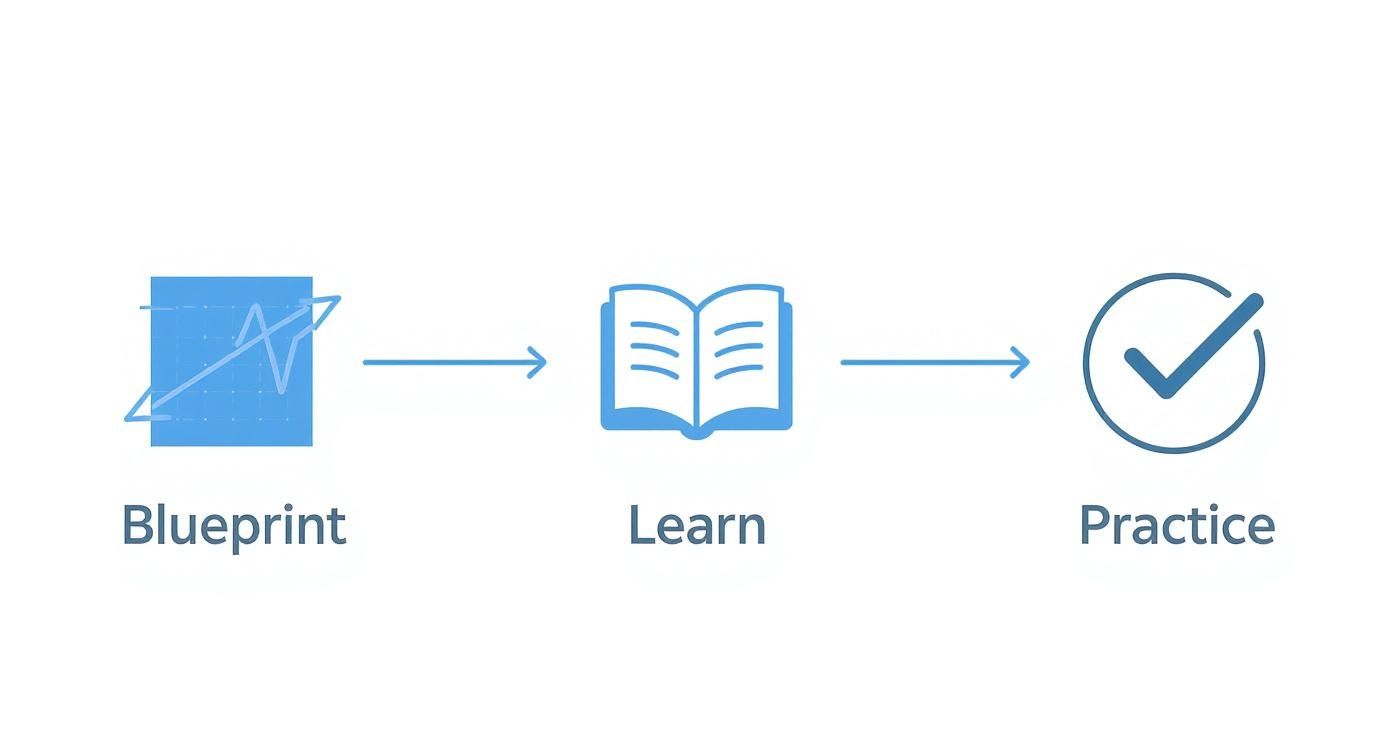 Infographic about mcat content review