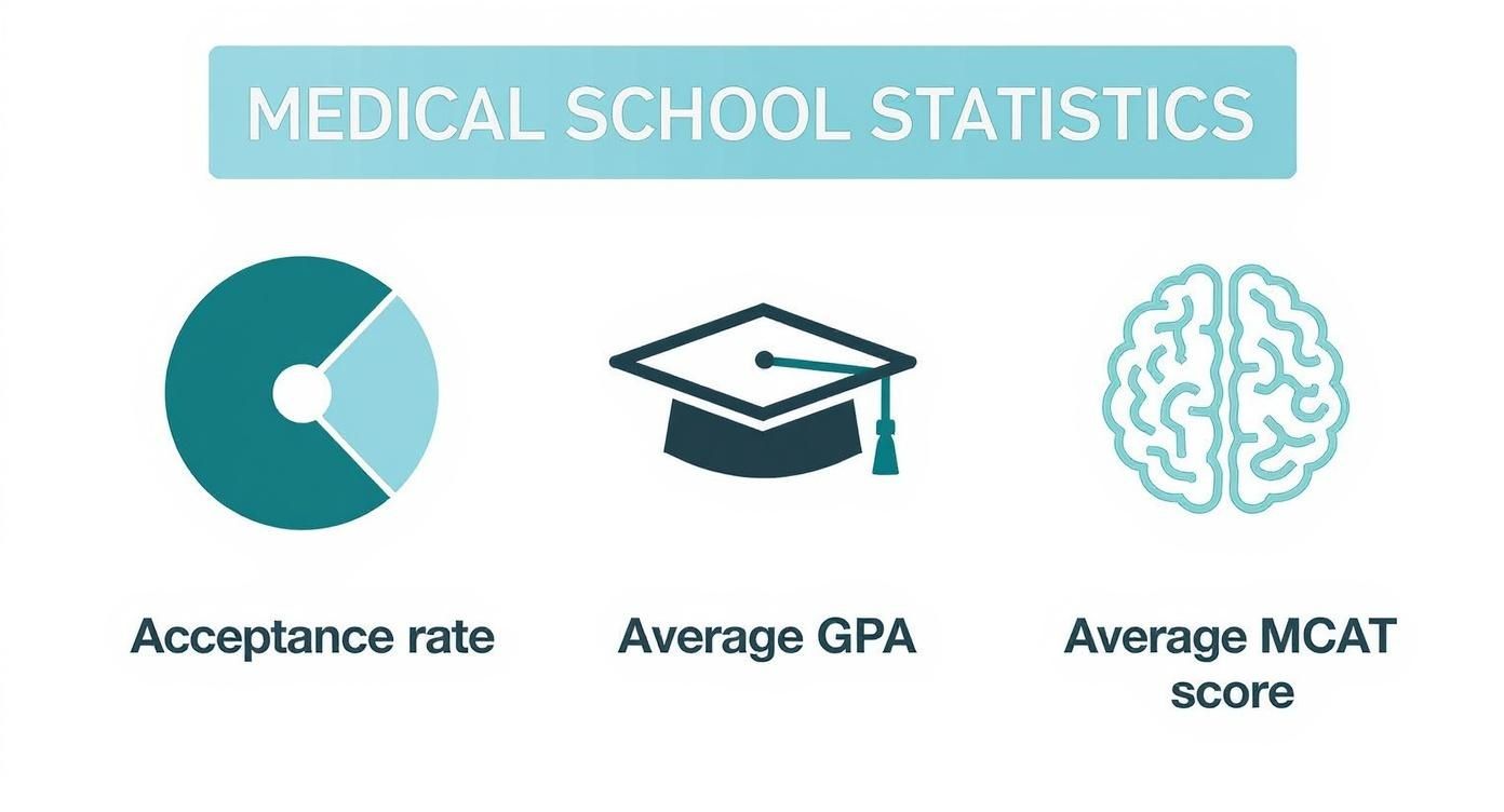 Infographic about applying to medical school